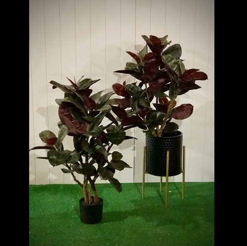 3' Potted Rubber Tree - Artificial Trees & Floor Plants - rent a jungle Minneapolis St Paul